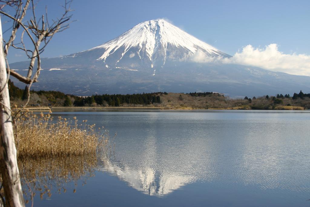 Villa May Queen Fujikawaguchiko Dış mekan fotoğraf