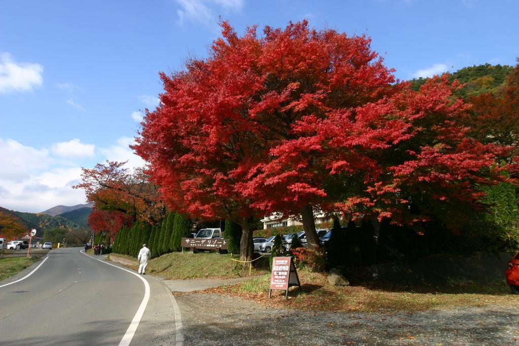 Villa May Queen Fujikawaguchiko Dış mekan fotoğraf